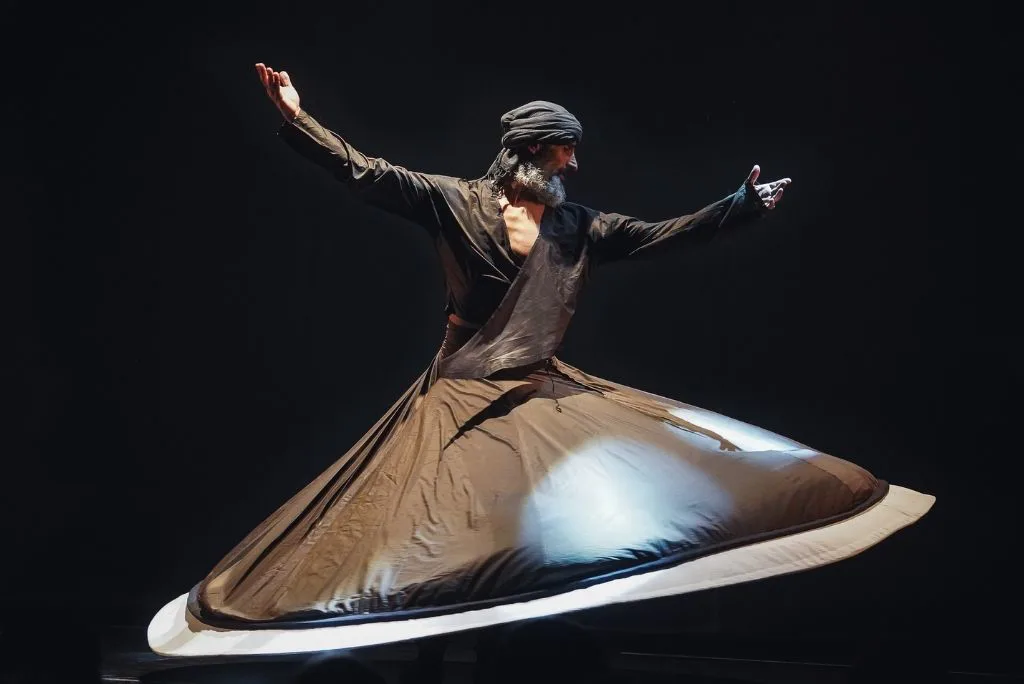 DERVISH IN PROGRESS DERVISH IN PROGRESS
